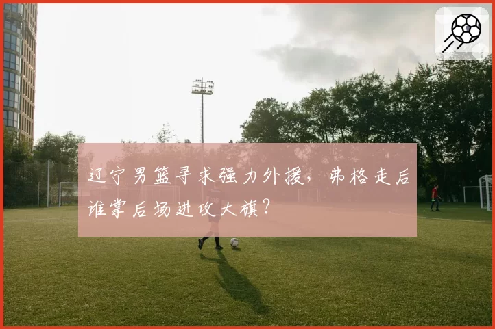 辽宁男篮寻求强力外援，弗格走后谁掌后场进攻大旗？