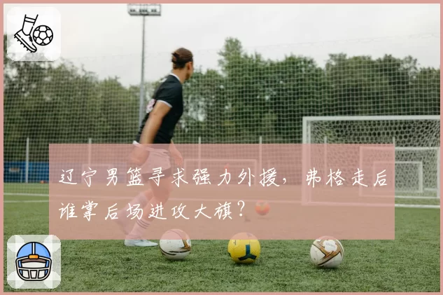 辽宁男篮寻求强力外援，弗格走后谁掌后场进攻大旗？