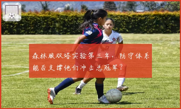 森林狼双塔实验第三年，防守体系能否支撑他们冲击总冠军？